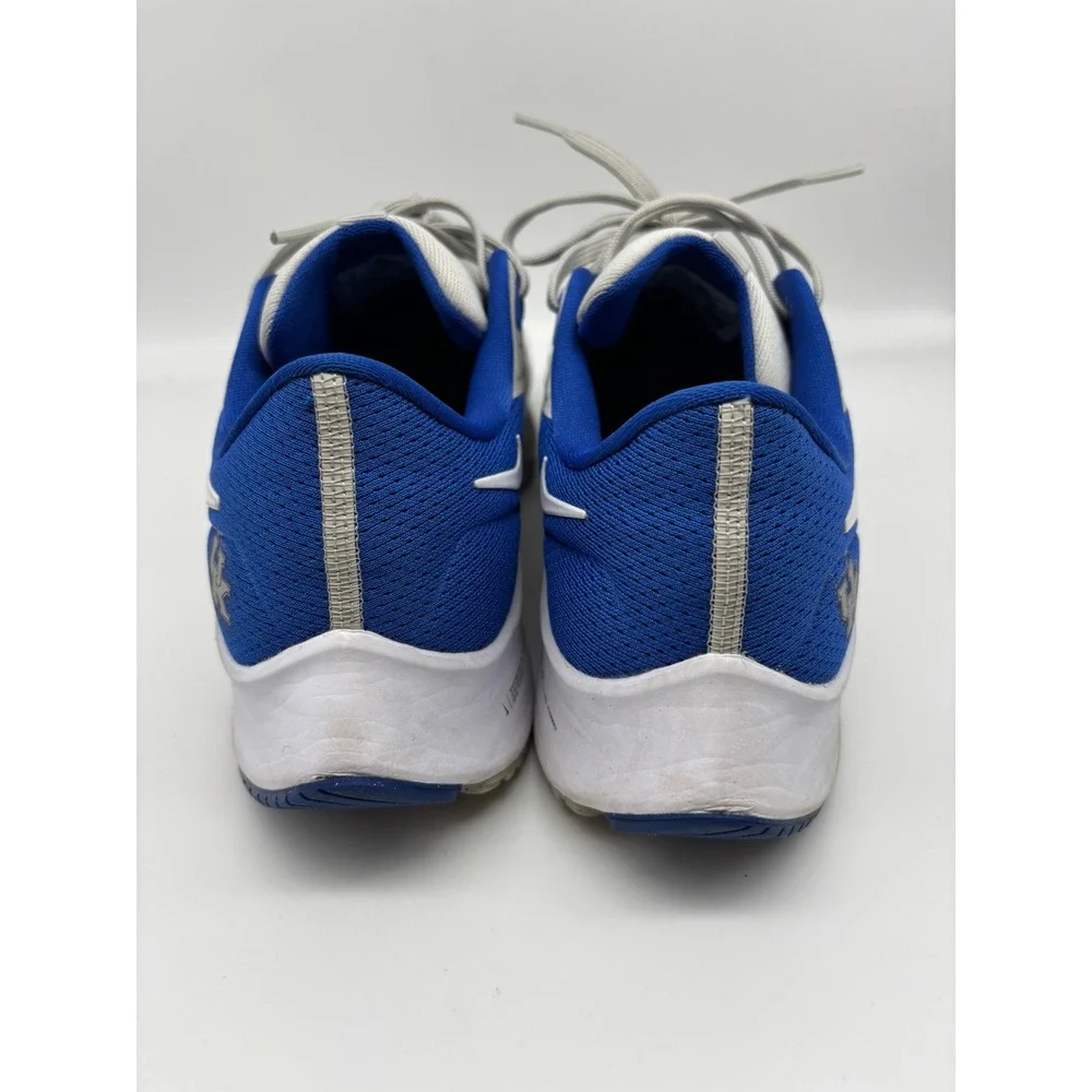 Nike Air Zoom Pegasus 38 Kentucky UK Wildcats Shoes Mens Sz 9 DJ0830-001